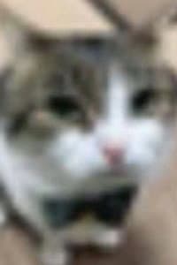 LuxianoXG