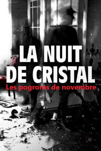 La Nuit de cristal : Les pogroms de novembre afişi
