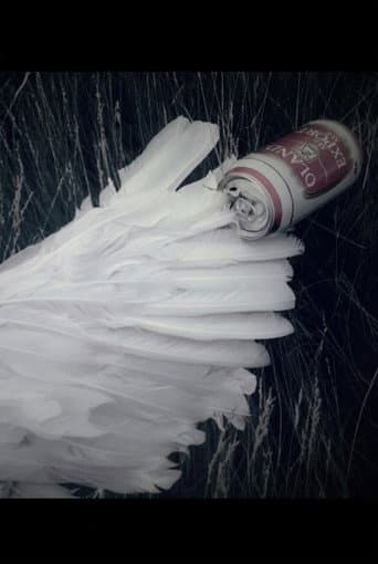 Broken Wings afişi