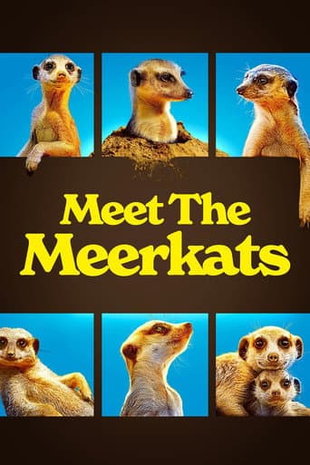 Meet The Meerkats afişi