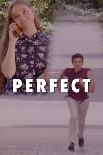Perfect afişi