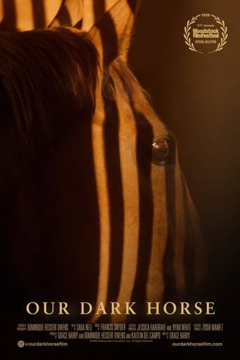 Our Dark Horse afişi