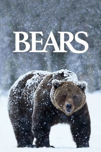 Bears afişi