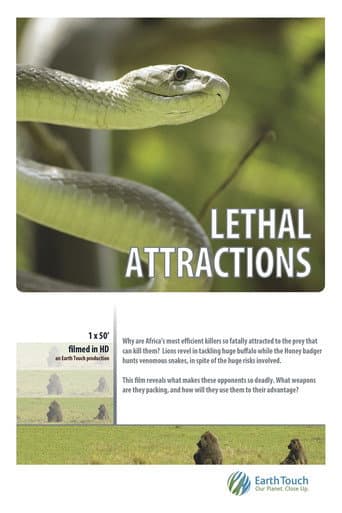 Lethal Attractions afişi