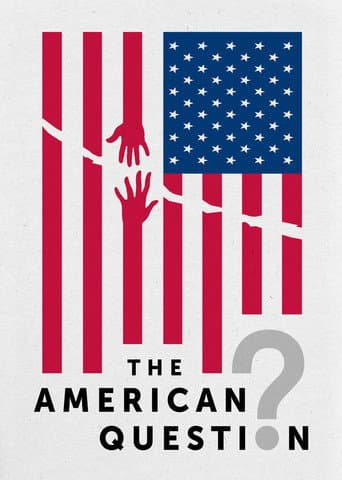 The American Question afişi
