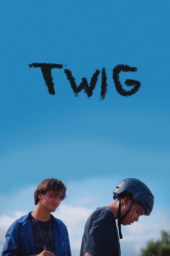 Twig afişi