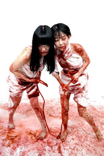 2 Girls 1 Gut afişi