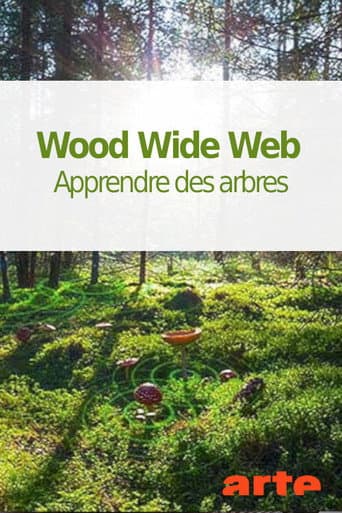 Wood Wide Web - Apprendre des arbres afişi