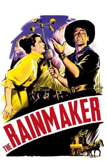 The Rainmaker afişi