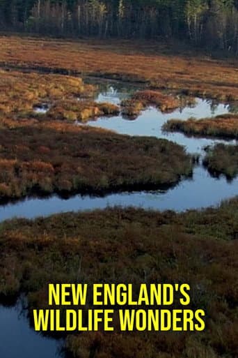 New Englands vidunderlige dyreliv afişi