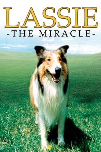 Lassie: The Miracle afişi