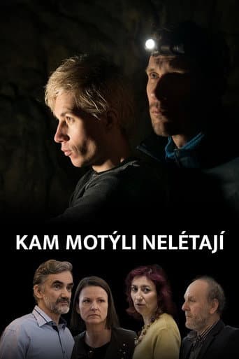 Kam motýli nelétají afişi
