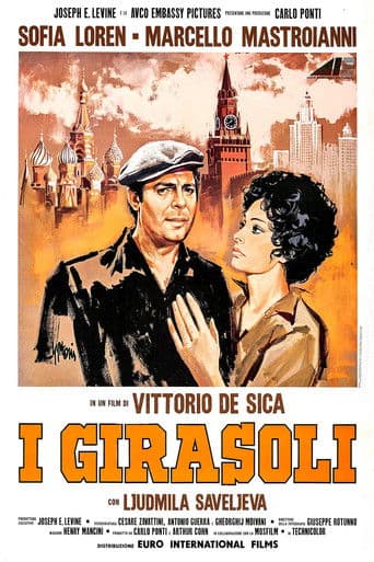 I girasoli afişi