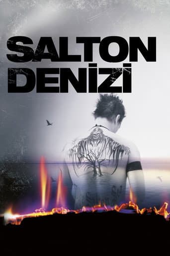 Salton Denizi afişi