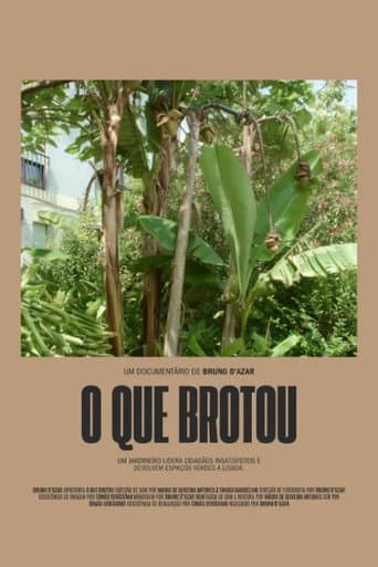 O Que Brotou afişi
