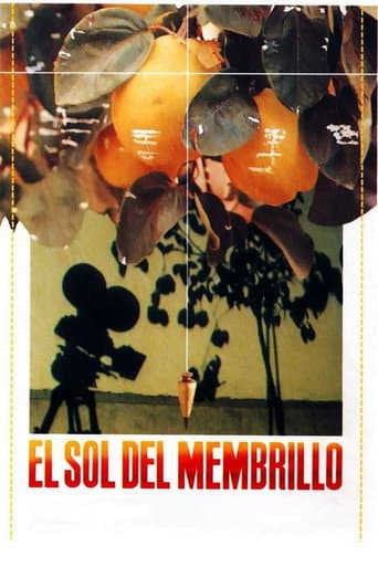El sol del membrillo afişi