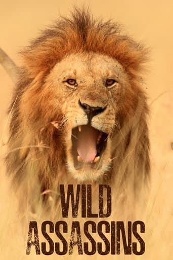 Wild Assassins afişi