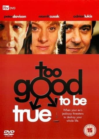 Too Good to Be True afişi