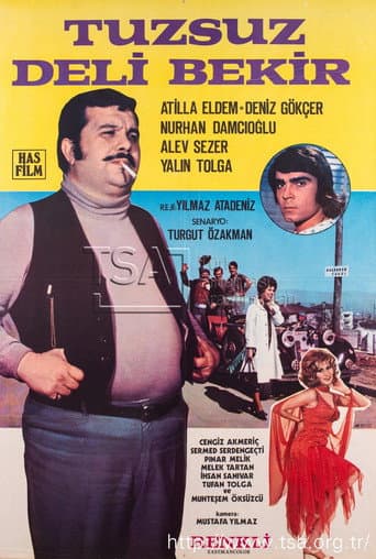 Tuzsuz Deli Bekir afişi