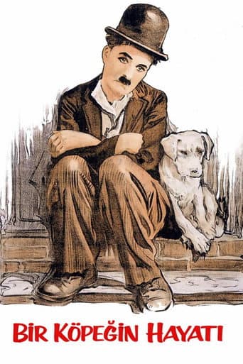 Bir Köpeğin Hayatı afişi