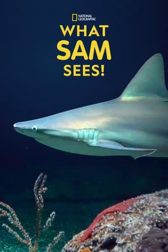 What Sam Sees afişi