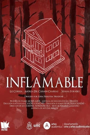 Inflamable afişi