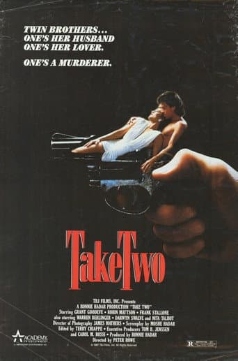 Take Two afişi