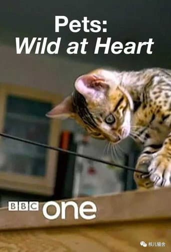 Pets: Wild at Heart afişi