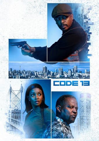 Code 13 afişi
