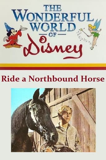 Ride a Northbound Horse afişi
