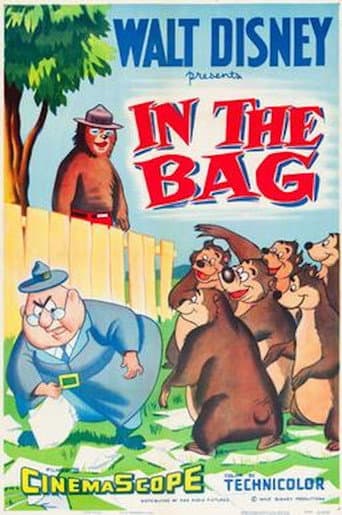 In the Bag afişi