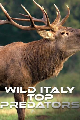 Wild Italy: Top Predators afişi