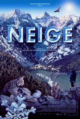Neige afişi