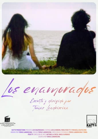 The lovers afişi