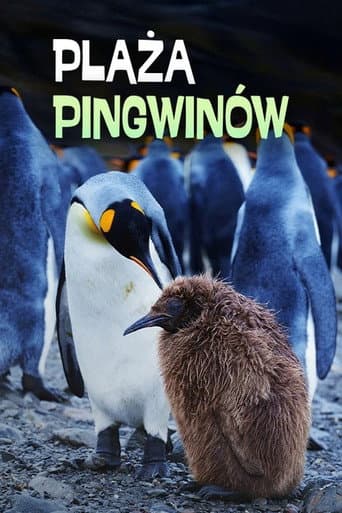 Penguin Baywatch afişi