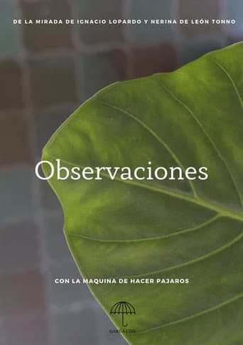 Observaciones afişi