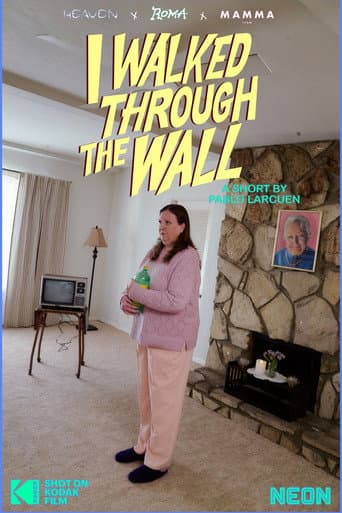 I Walked Through the Wall afişi