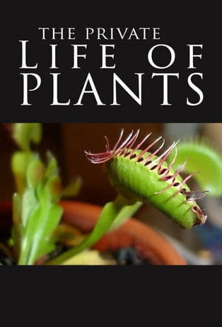 The Private Life of Plants afişi