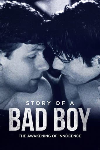 Story of a Bad Boy afişi