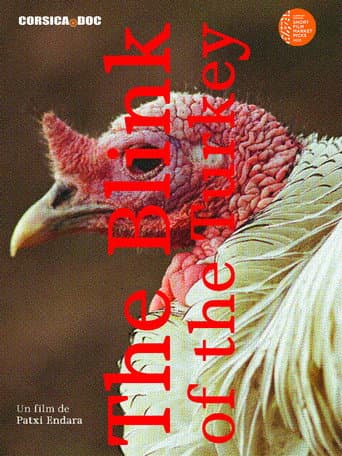 The blink of the turkey afişi