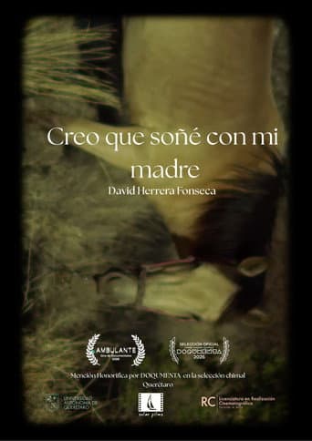 Creo que soñé con mi madre afişi