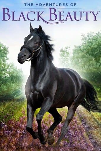 The Adventures of Black Beauty afişi