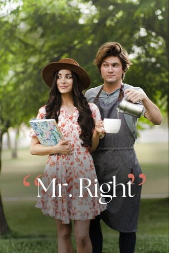 Mr. Right afişi