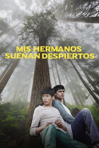 Mis hermanos sueñan despiertos afişi