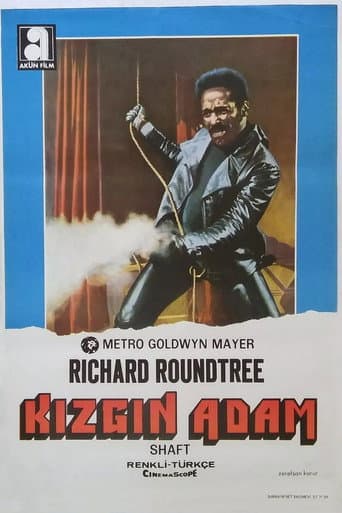 Kızgın Adam afişi