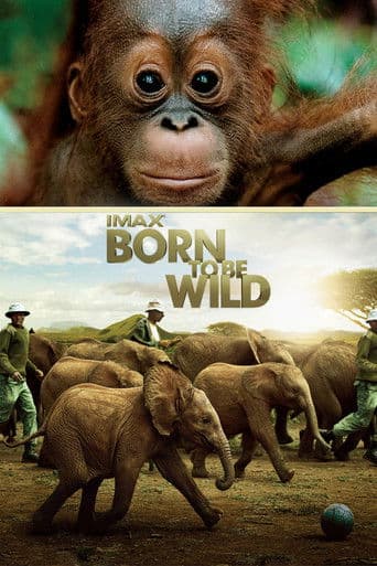 Born to Be Wild afişi