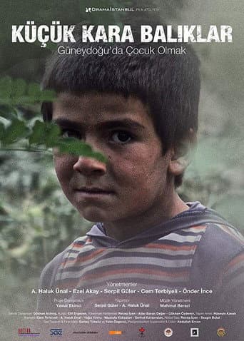 Küçük Kara Balıklar - Güneydoğuda Çocuk Olmak afişi