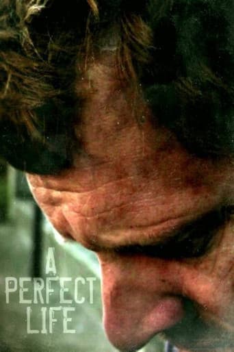 A Perfect Life afişi