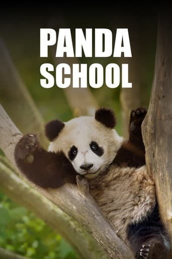 Panda School afişi