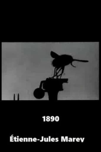 Vol de la grosse mouche bleue afişi